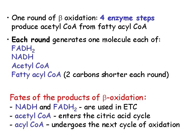  • One round of oxidation: 4 enzyme steps produce acetyl Co. A from