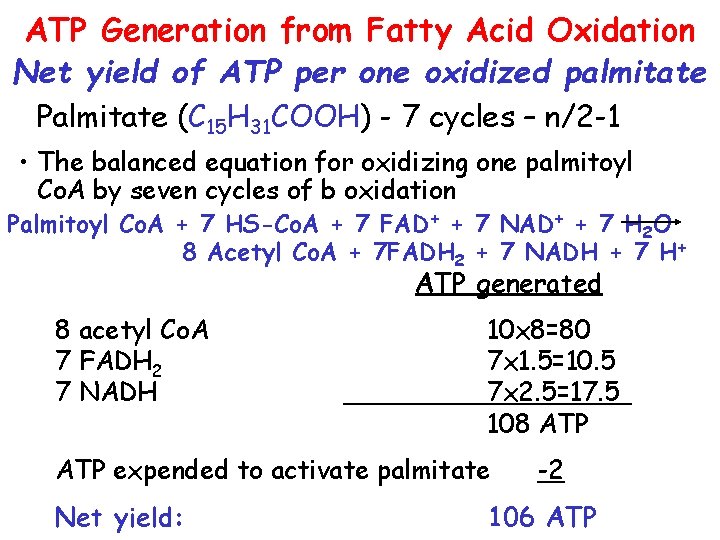 ATP Generation from Fatty Acid Oxidation Net yield of ATP per one oxidized palmitate