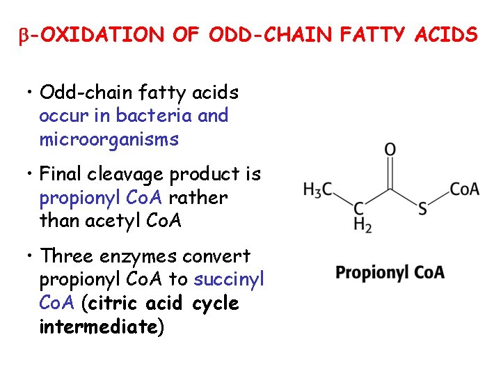 b-OXIDATION OF ODD-CHAIN FATTY ACIDS • Odd-chain fatty acids occur in bacteria and microorganisms