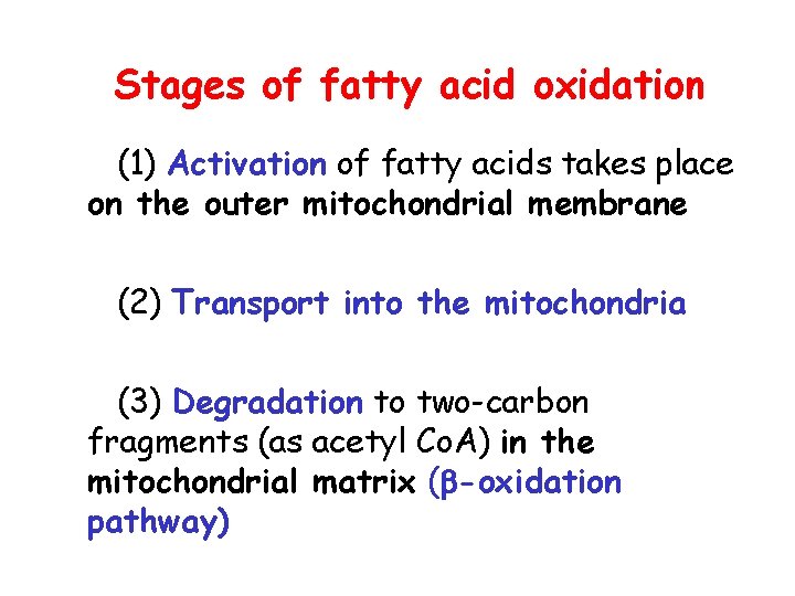 3 stages of fatty acid oxidation