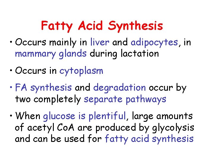 Fatty Acid Synthesis • Occurs mainly in liver and adipocytes, in mammary glands during