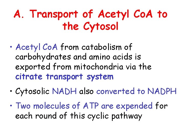 A. Transport of Acetyl Co. A to the Cytosol • Acetyl Co. A from