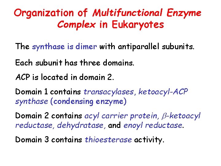 Organization of Multifunctional Enzyme Complex in Eukaryotes The synthase is dimer with antiparallel subunits.
