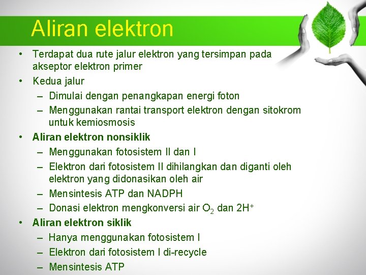 Aliran elektron • Terdapat dua rute jalur elektron yang tersimpan pada akseptor elektron primer