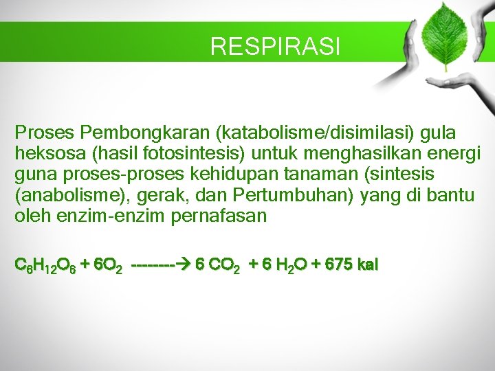 RESPIRASI Proses Pembongkaran (katabolisme/disimilasi) gula heksosa (hasil fotosintesis) untuk menghasilkan energi guna proses-proses kehidupan