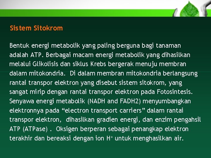 Sistem Sitokrom Bentuk energi metabolik yang paling berguna bagi tanaman adalah ATP. Berbagai macam