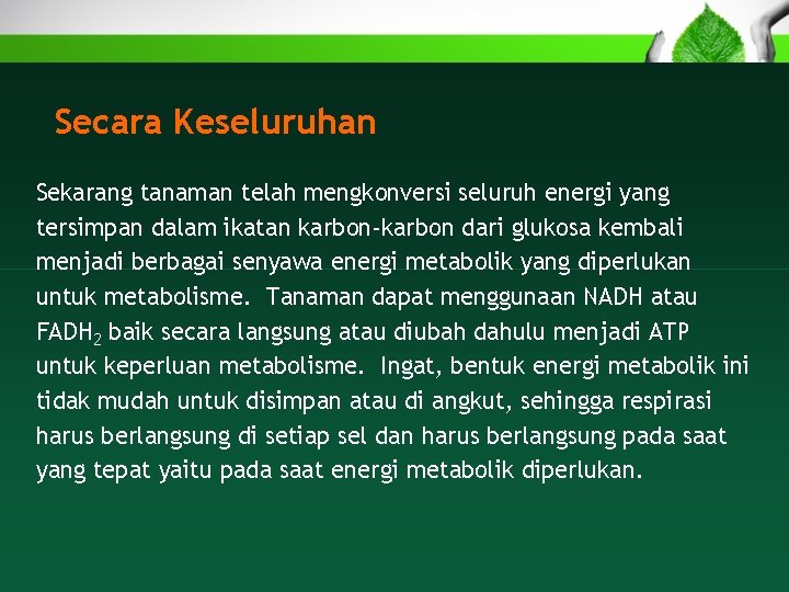 Secara Keseluruhan Sekarang tanaman telah mengkonversi seluruh energi yang tersimpan dalam ikatan karbon-karbon dari