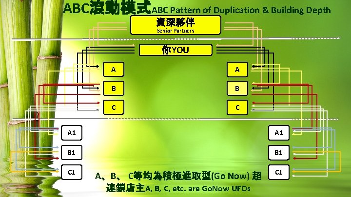 ABC滾動模式ABC Pattern of Duplication & Building Depth 資深夥伴 Senior Partners 你YOU A A B