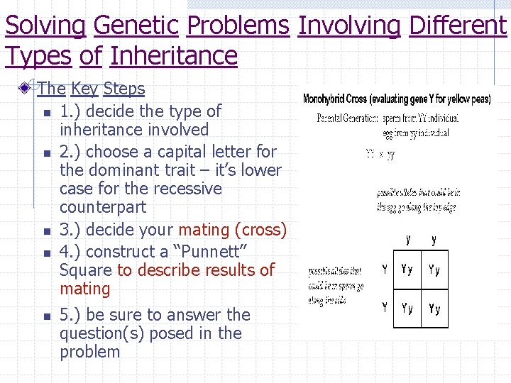 Solving Genetic Problems Involving Different Types of Inheritance The Key Steps n 1. )