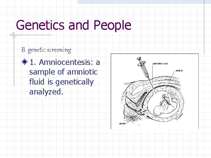 Genetics and People B. genetic screening 1. Amniocentesis: a sample of amniotic fluid is