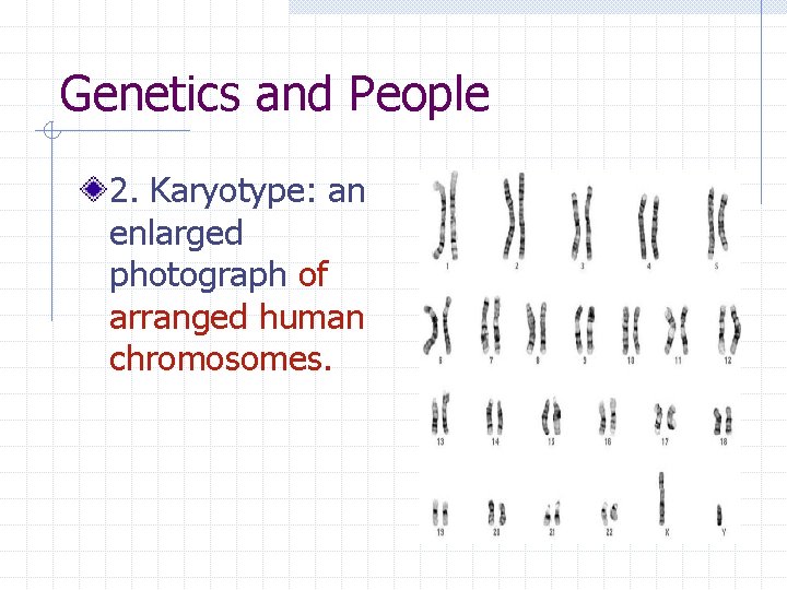 Genetics and People 2. Karyotype: an enlarged photograph of arranged human chromosomes. 