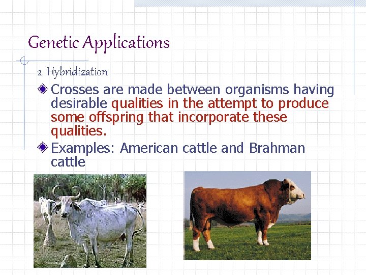 Genetic Applications 2. Hybridization Crosses are made between organisms having desirable qualities in the