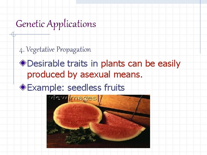 Genetic Applications 4. Vegetative Propagation Desirable traits in plants can be easily produced by