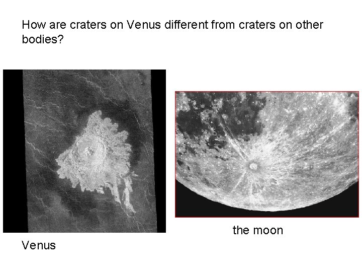 How are craters on Venus different from craters on other bodies? the moon Venus