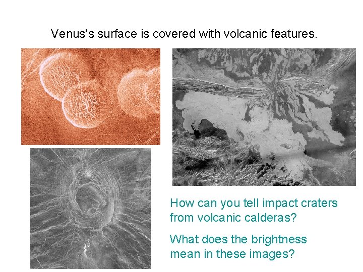 Venus’s surface is covered with volcanic features. How can you tell impact craters from