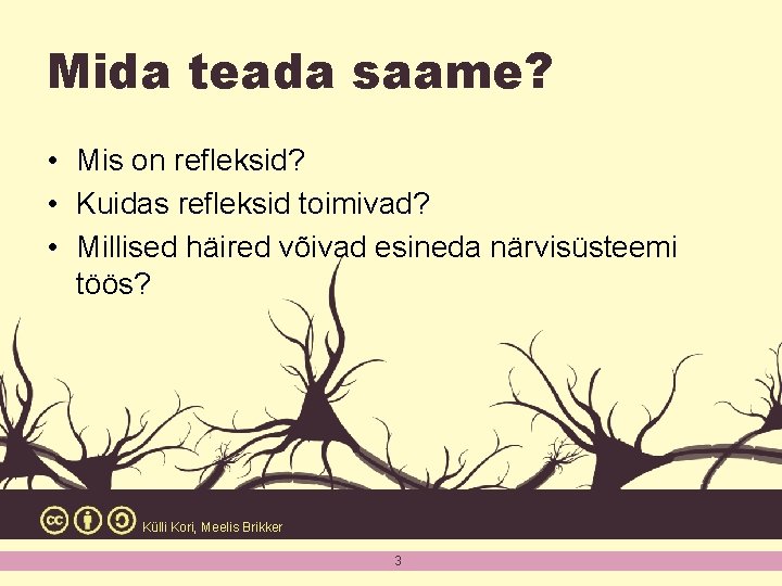 Mida teada saame? • Mis on refleksid? • Kuidas refleksid toimivad? • Millised häired