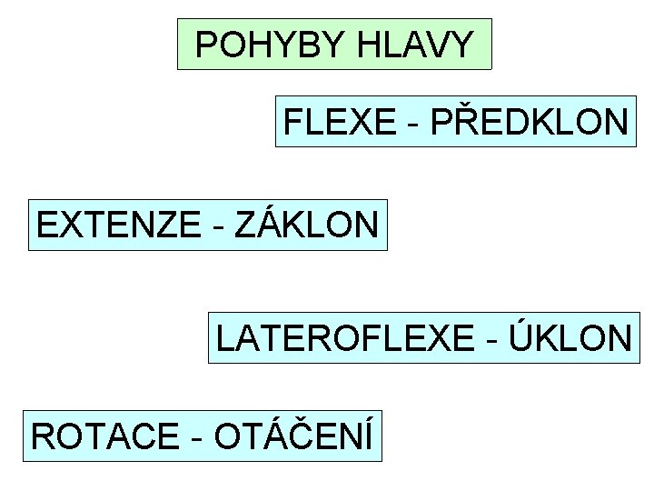 POHYBY HLAVY FLEXE - PŘEDKLON EXTENZE - ZÁKLON LATEROFLEXE - ÚKLON ROTACE - OTÁČENÍ