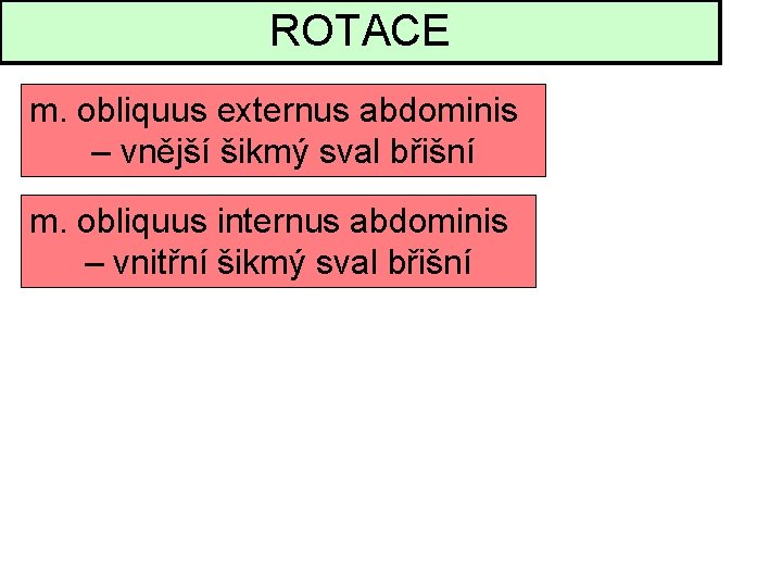 ROTACE m. obliquus externus abdominis – vnější šikmý sval břišní m. obliquus internus abdominis