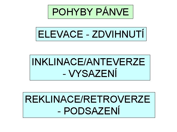 POHYBY PÁNVE ELEVACE - ZDVIHNUTÍ INKLINACE/ANTEVERZE - VYSAZENÍ REKLINACE/RETROVERZE - PODSAZENÍ 
