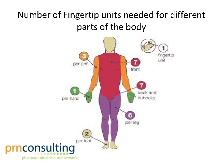 Number of Fingertip units needed for different parts of the body 