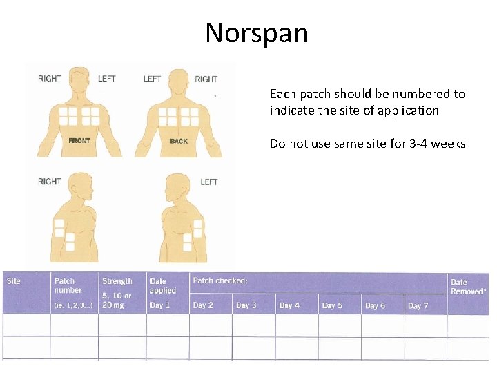 Norspan Each patch should be numbered to indicate the site of application Do not