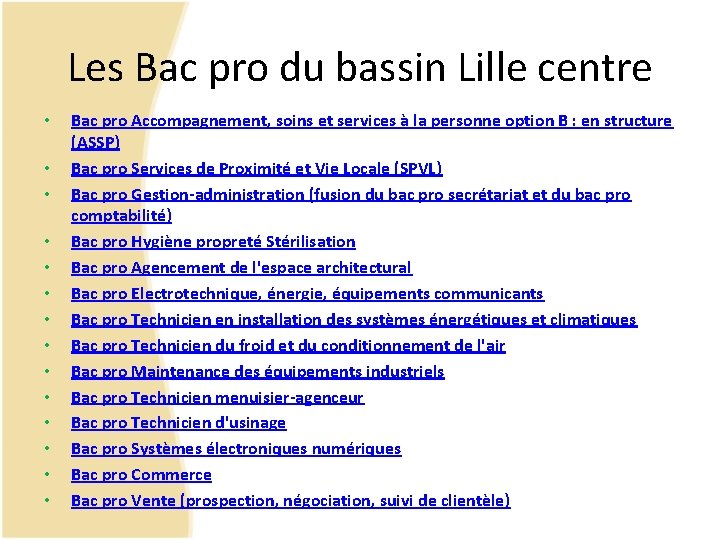 Les Bac pro du bassin Lille centre • • • • Bac pro Accompagnement,