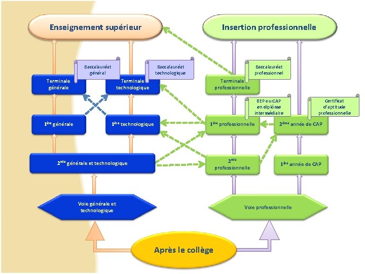 Enseignement supérieur Baccalauréat général Insertion professionnelle Baccalauréat technologique Terminale générale Baccalauréat professionnel Terminale technologique