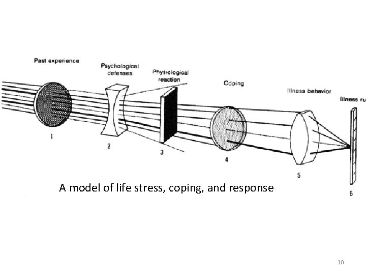 A model of life stress, coping, and response 10 