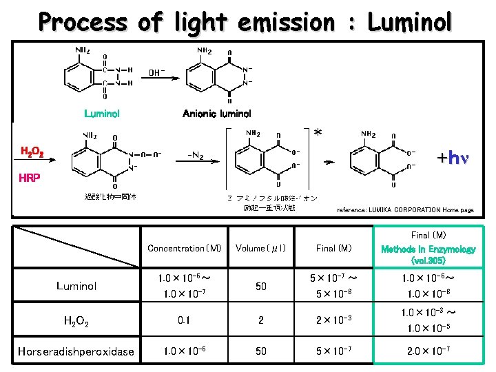 Process of light emission : Luminol ルミノール Luminol Anionic luminol ＊ H 2 O