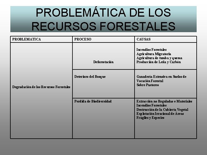 PROBLEMÁTICA DE LOS RECURSOS FORESTALES PROBLEMATICA PROCESO CAUSAS Deforestación Incendios Forestales Agricultura Migratoria Agricultura