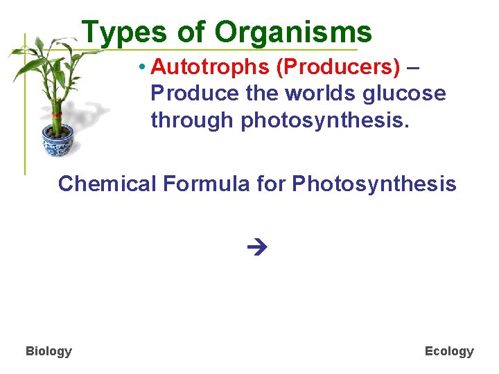 Types of Organisms • Autotrophs (Producers) – Produce the worlds glucose through photosynthesis. Chemical