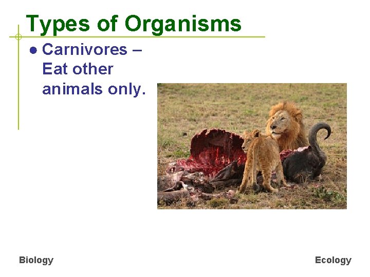 Types of Organisms ● Carnivores – Eat other animals only. Biology Ecology 
