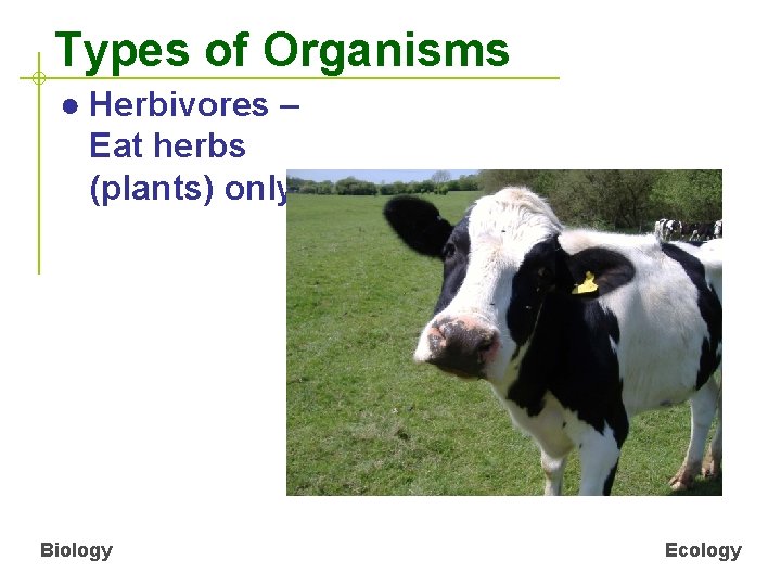 Types of Organisms ● Herbivores – Eat herbs (plants) only. Biology Ecology 