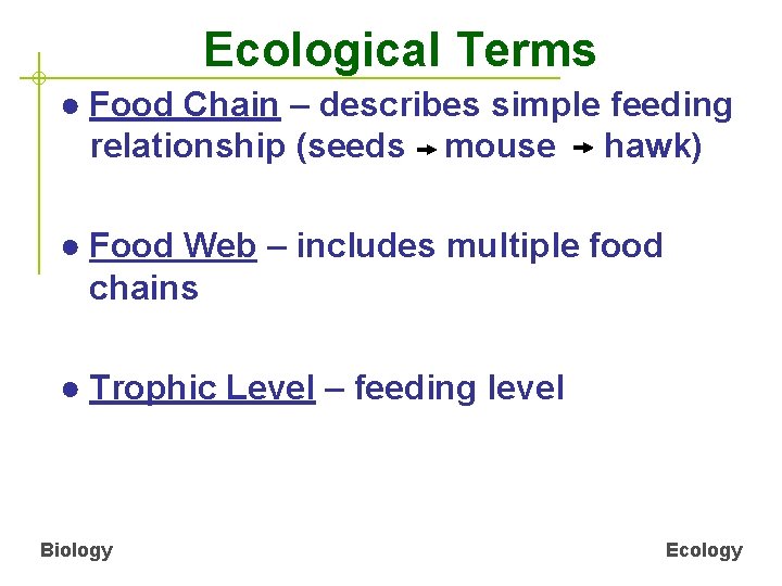 Ecological Terms ● Food Chain – describes simple feeding relationship (seeds mouse hawk) ●