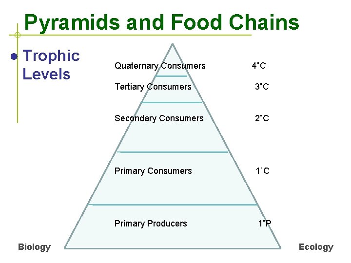 Pyramids and Food Chains ● Trophic Levels Biology Quaternary Consumers 4˚C Tertiary Consumers 3˚C