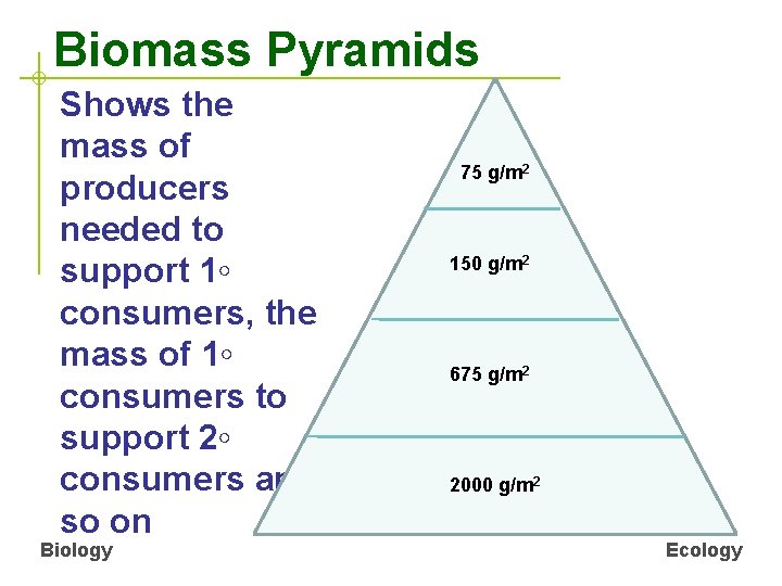 Biomass Pyramids Shows the mass of producers needed to support 1◦ consumers, the mass