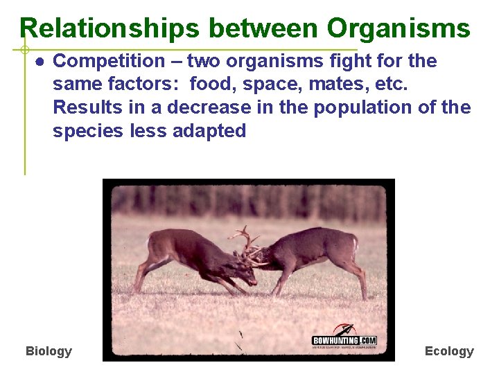 Relationships between Organisms ● Competition – two organisms fight for the same factors: food,