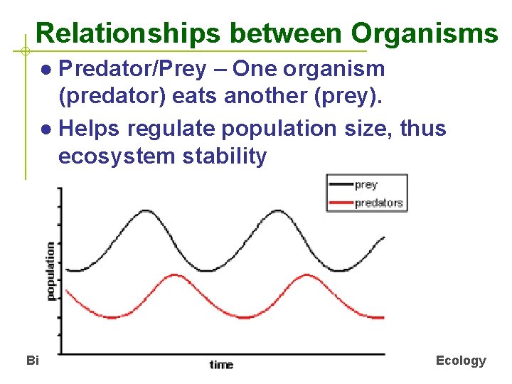 Relationships between Organisms ● Predator/Prey – One organism (predator) eats another (prey). ● Helps