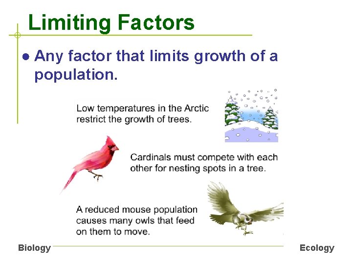 Limiting Factors ● Any factor that limits growth of a population. Biology Ecology 