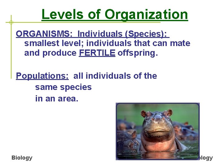 Levels of Organization ORGANISMS: Individuals (Species): smallest level; individuals that can mate and produce