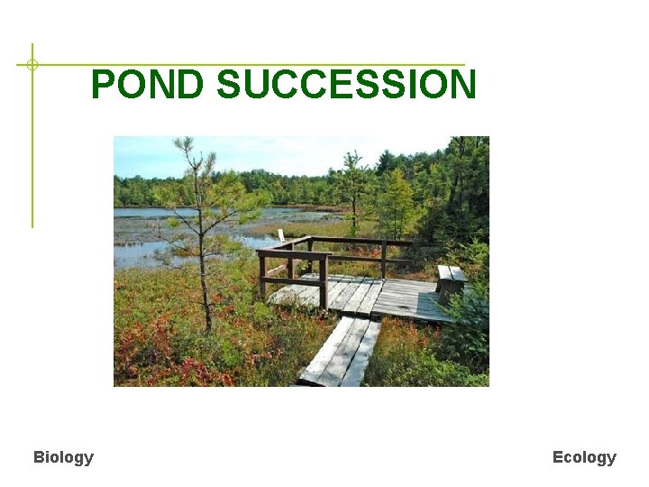 POND SUCCESSION Biology Ecology 