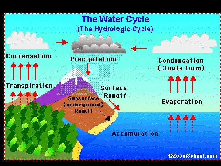 Biology Ecology 