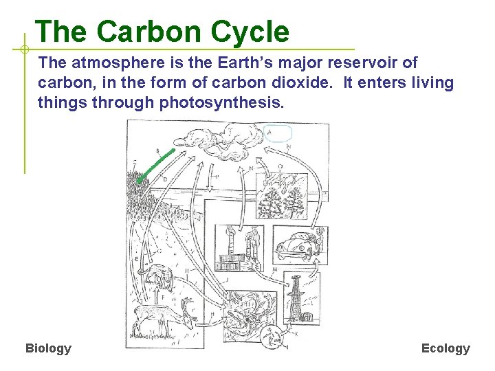 The Carbon Cycle The atmosphere is the Earth’s major reservoir of carbon, in the