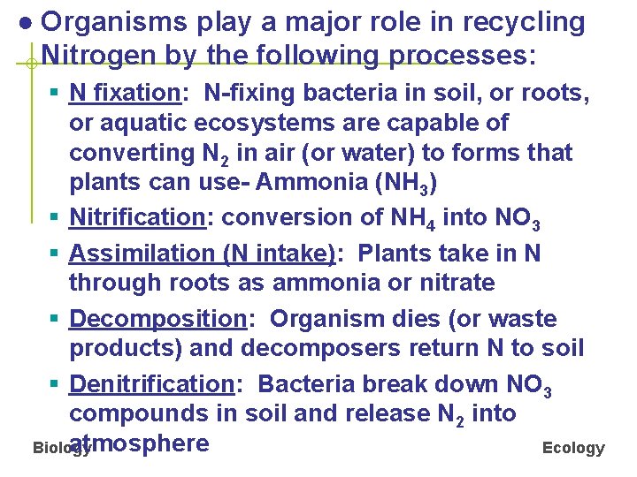 ● Organisms play a major role in recycling Nitrogen by the following processes: §