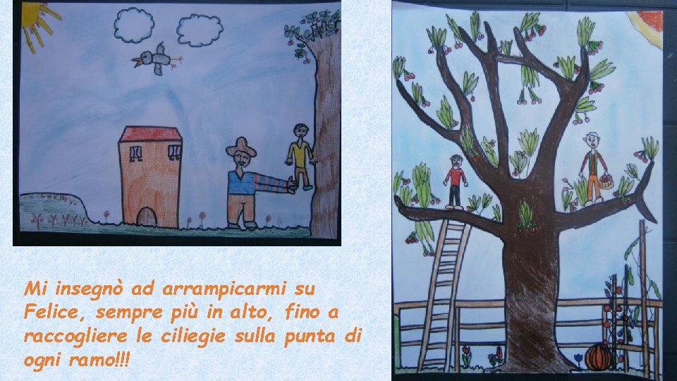 Mi insegnò ad arrampicarmi su Felice, sempre più in alto, fino a raccogliere le