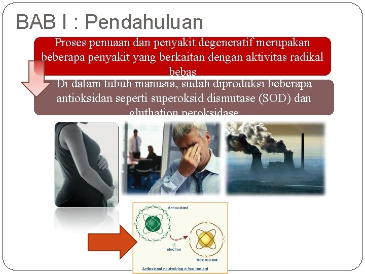 BAB I : Pendahuluan Proses penuaan dan penyakit degeneratif merupakan beberapa penyakit yang berkaitan