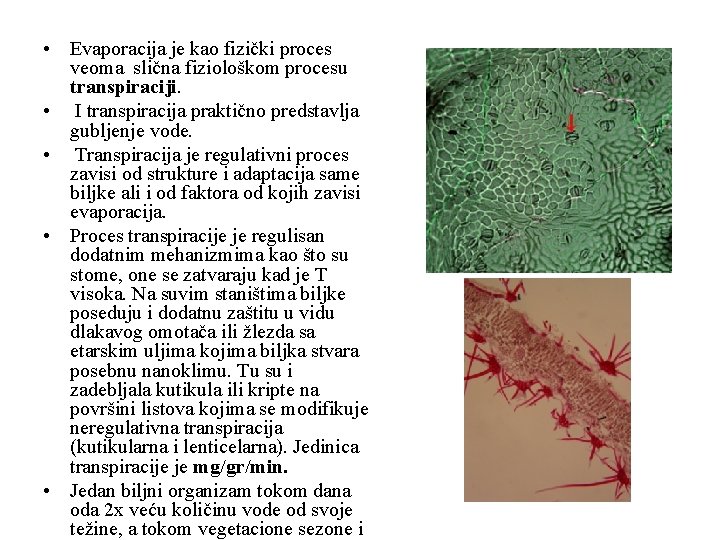  • Evaporacija je kao fizički proces veoma slična fiziološkom procesu transpiraciji. • I