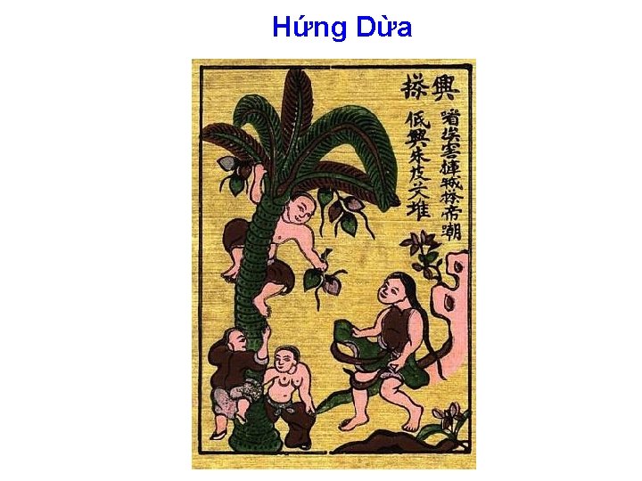 Hứng Dừa 