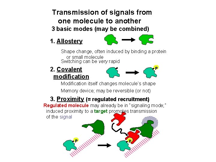 Transmission of signals from one molecule to another 3 basic modes (may be combined)