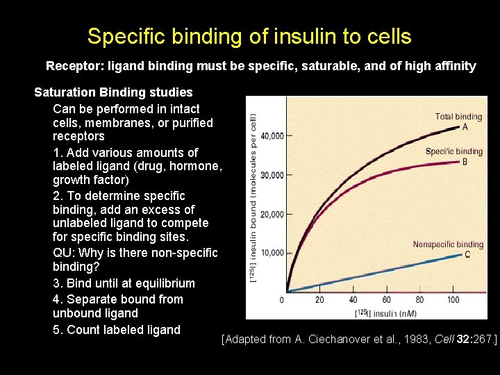 Specific binding of insulin to cells Receptor: ligand binding must be specific, saturable, and